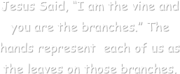 Jesus Said, “I am the vine and you are the branches.” The hands represent  each of us as the leaves on those branches.